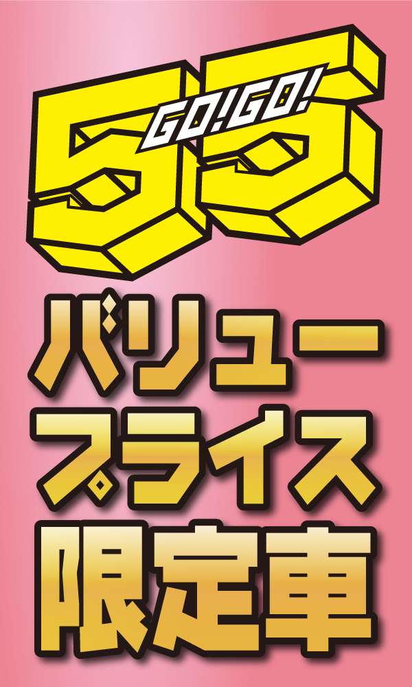 55バリュープライス限定車